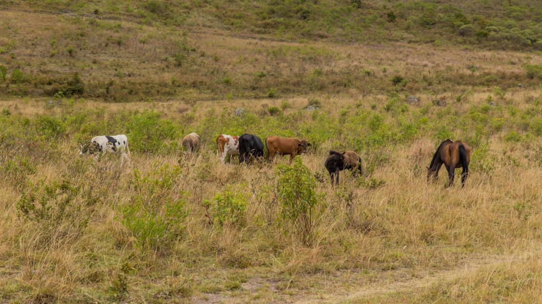 Finca en Imués, Nariño