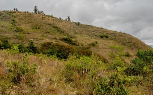 Finca en Imués – El Sauce