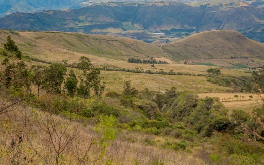 Finca en Imués – El Sauce