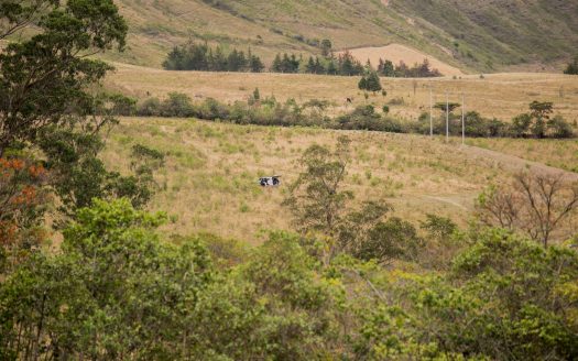 Finca en Imués – El Sauce