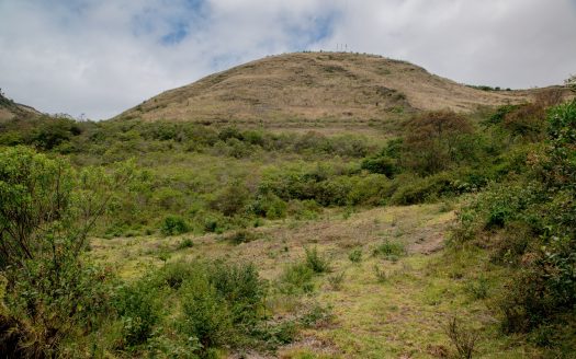 Finca en Imués – El Sauce